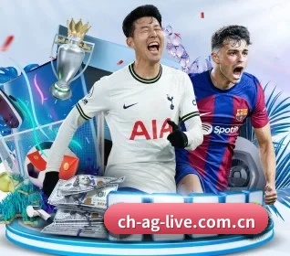 五大服务分区,信息按项目分类