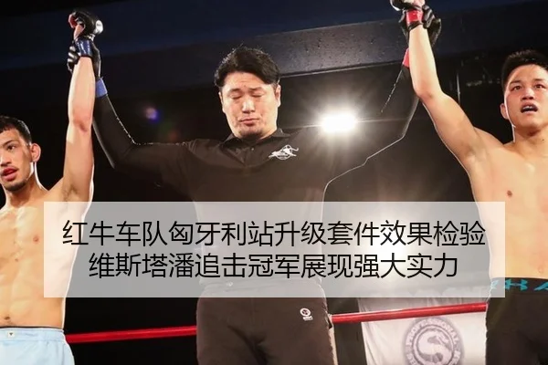 红牛车队匈牙利站升级套件效果检验 维斯塔潘追击冠军展现强大实力